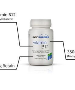 Vitamin B12, MSM, Betain, Inhaltsstoffe