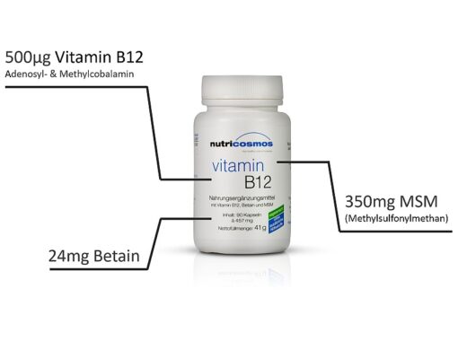 Vitamin B12, MSM, Betain, Inhaltsstoffe